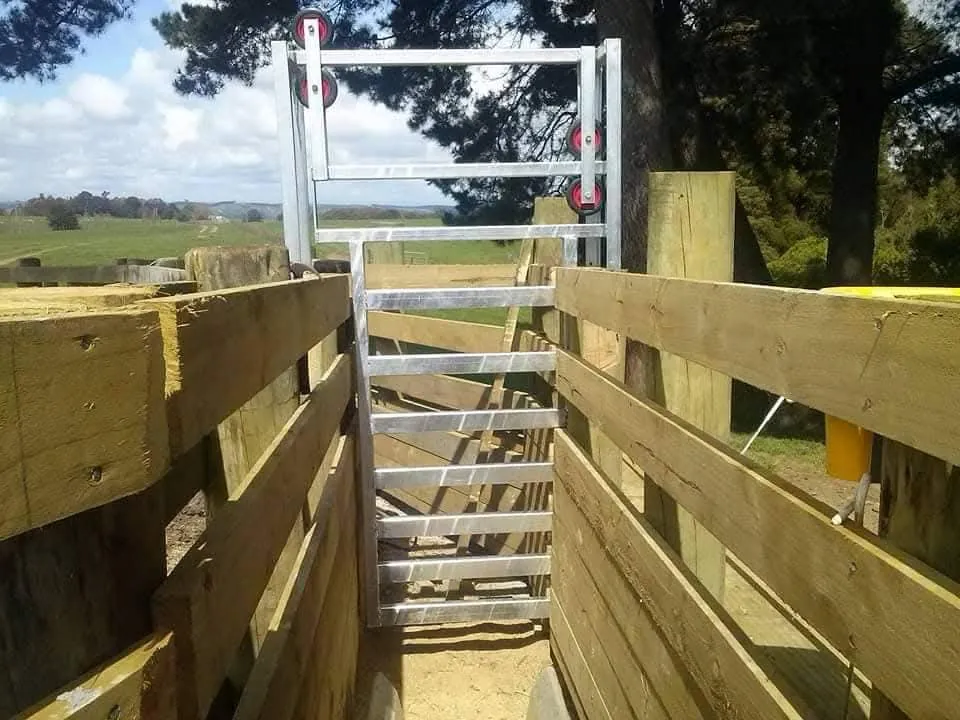 Galvanised stockyard race gates